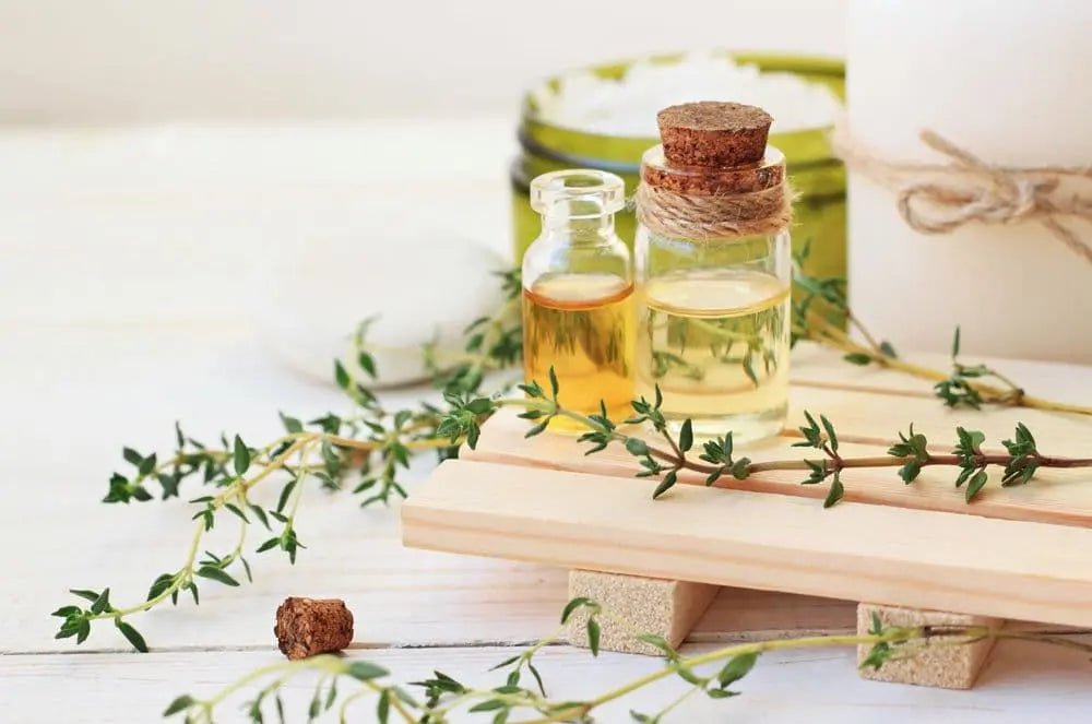 Botanical-Fragrances-Merits-Of-Wearing-Them Rosa Salas