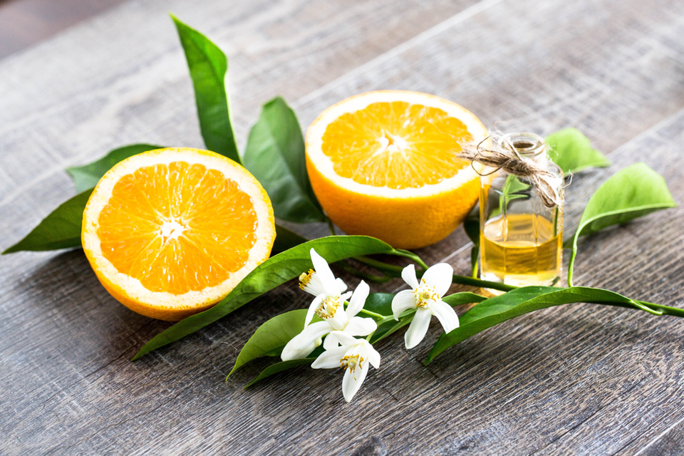 What Are Fragrance Notes and Why Do They Matter?