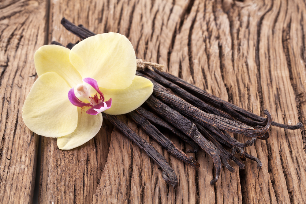 Best Vanilla Fragrances To Shop in 2025